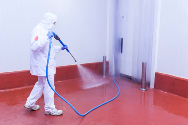 Best Rust Removal  in Cresskill, NJ